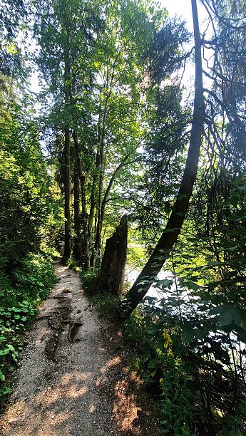 istock hiking way in Ruhpolding - Bavaria 2230820055