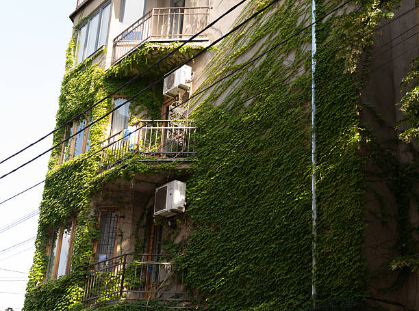 istock Apartment facade and balconies covered with ivy 2230823478