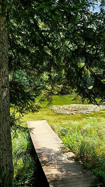 istock Lake in Bavaria - Taubensee 2230824164