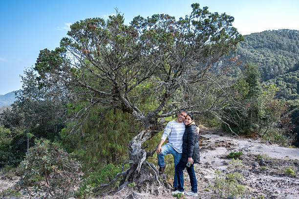 istock Romantic Eco-Portrait: Couple Posing with Gnarled Tree at Dusk 2230825504