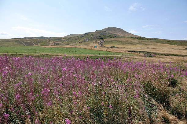 istock a landscape at the  Col de la Croix Morand 2230831676