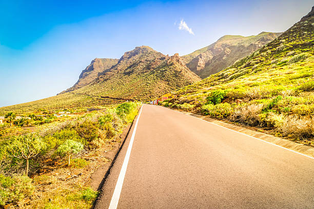 road in valley of volcano Teide, Tenerife, Spain