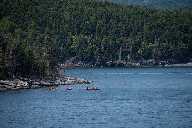 Kayakers at Acadia National Park