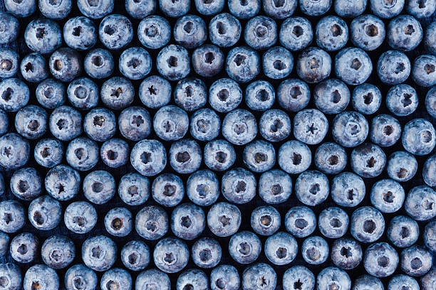 Ripe blueberries