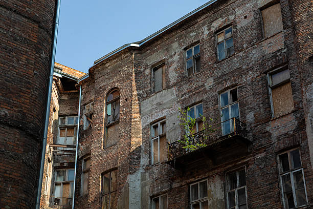 A tree has taken root on the balcony of an abandoned building. Its branches stretching outward above rusted railings and crumbling walls. The scene illustrates nature's persistence in urban neglect.