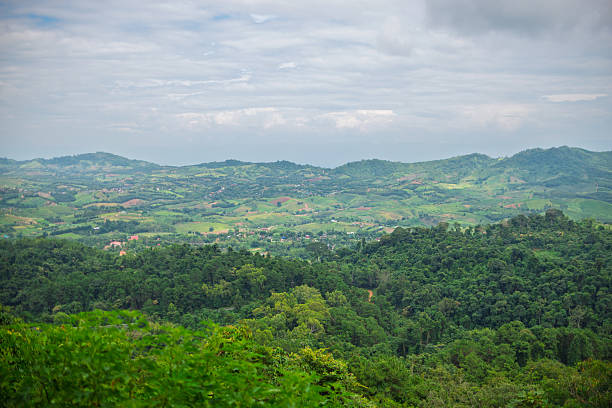 istock A panoramic view of rolling green hills covered densely with lush forests under a cloudy, overcast sky, showcasing a vast natural landscape. 2230839850