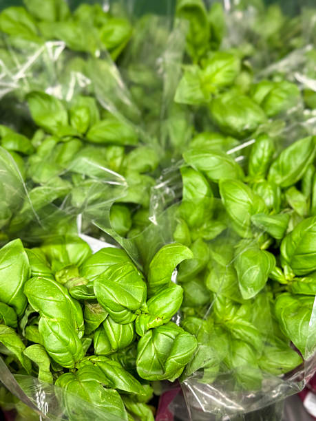 istock Full frame image of fresh fully grown basil (ocimum basilicum) herb plants in flower pots, wrapped in cellophane, for sale on supermarket shelf display, elevated view, focus on foreground 2230841192