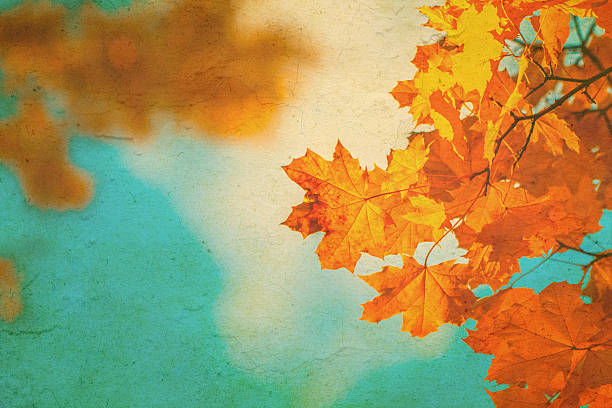 Autumn leaves over vintage background. Perfect grunge fall texture.