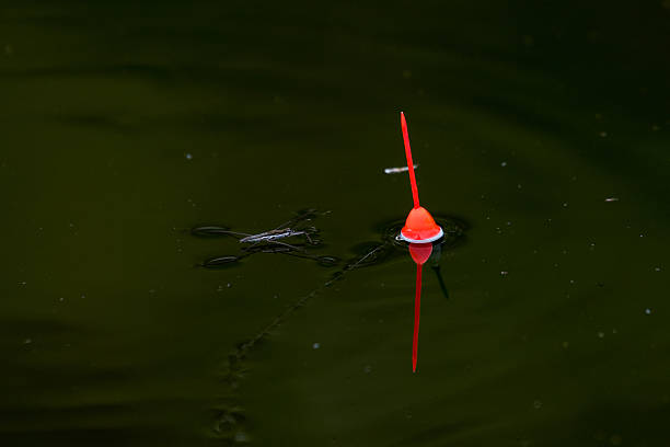 A fishing bobber gently sways on the surface of calm water close to a boat. The scene captures the tranquility of late afternoon with soft light reflecting on the waves. Surrounding nature offers a peaceful backdrop for fishing.