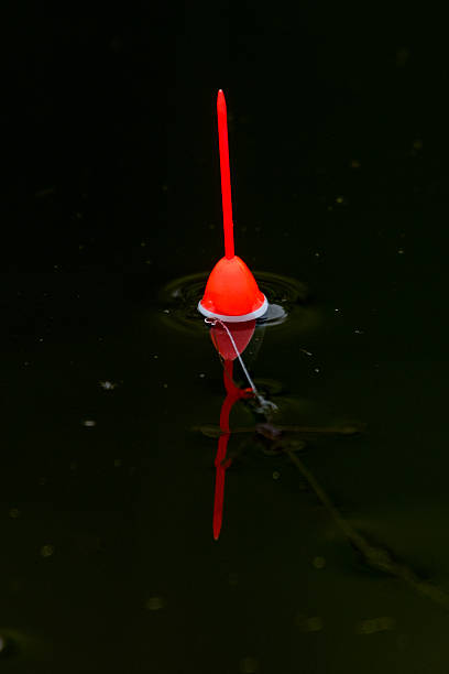 A red fishing bobber floating in black water