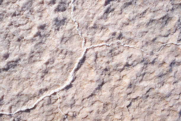 Close-up view of white salt crystals creating interesting patterns on the ground. Nature background abstract