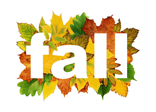 Autumn leaves and lettering FALL isolated on white background