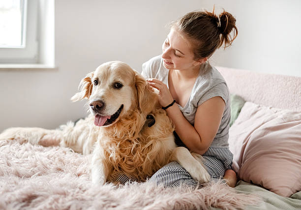 istock Smiling Girl Plays With Dog 2230857526