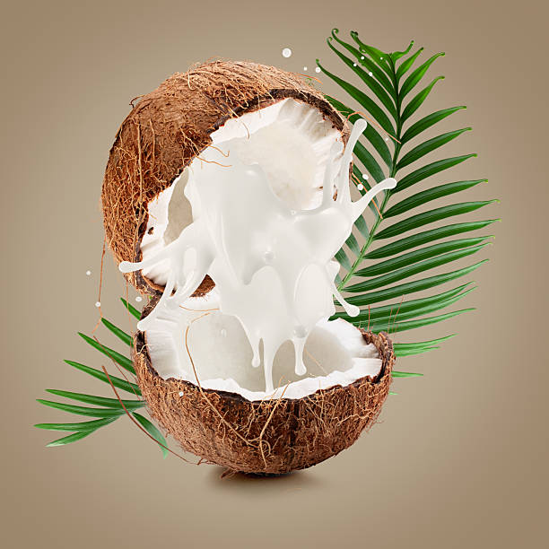 istock coconuts with palm leaves and milk splash on a light brown background 2230864559