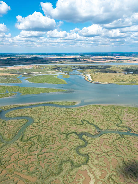 istock Salt marshes creating stunning patterns in tollesbury, england 2230874189