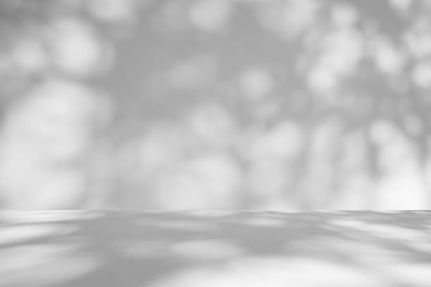 istock Abstract white studio room with light and shadow from window and tree leaves background for product display presentation 2230874791