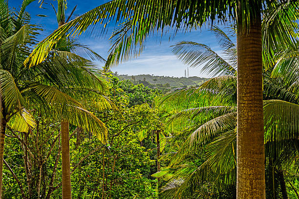 Barbados' Andromeda Botanic Gardens show the true inland paradise of this beautiful island.