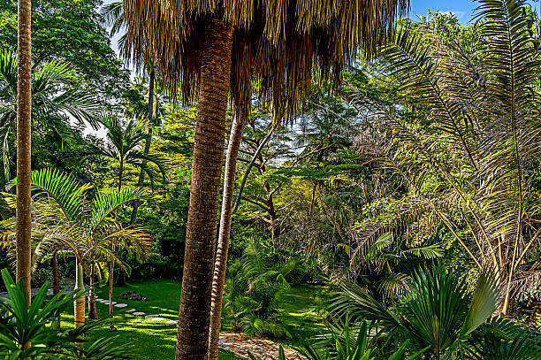 istock Barbados  Andromeda Botanic Gardens 2230877545