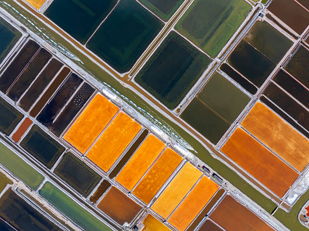 istock The ship transporting salt was sailing along the colorful salt fields. Salt-farm workers produce salt in the salt fieldsA bird's-eye view perspective 2230880968