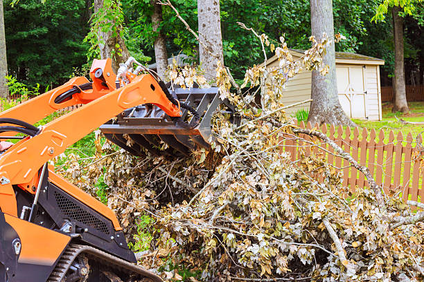 Chainsaw limb logs and brush cutting clean in Lima OH