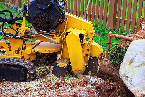 istock Stump grinder in action during landscaping project in residential yard 2230881666