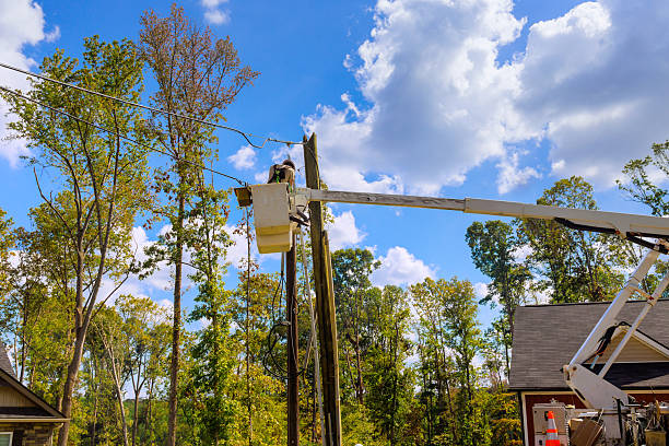 istock Utility worker repairs power line in residential area surrounded by trees under bright blue sky 2230881672