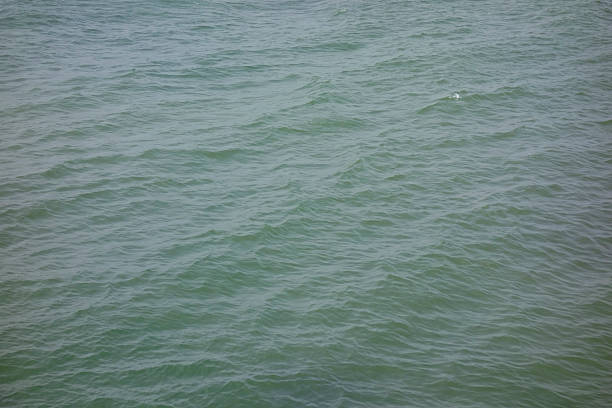 Shonan seascape in midsummer with the ocean hazy in the distance
