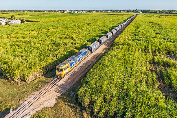 Railway on the grassland