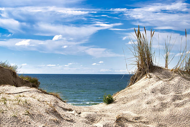 An inviting coastal view featuring sandy dunes and grass, with the ocean and sky stretching into the horizon, evoking serene and calm feelings of nature and peace.