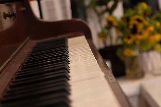 istock Close-Up of Piano Keys with Soft Background 2230903407
