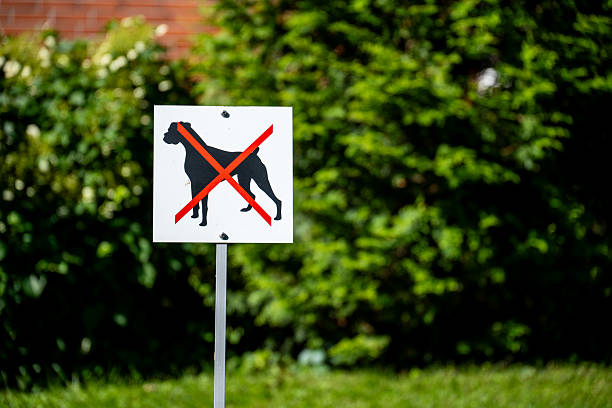 istock No Dogs Allowed Sign with Red Cross 2230905637