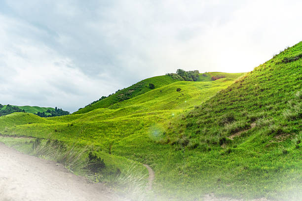 This is a landscape painting of a grassland. In the picture, the vast green grassland spreads out like a green carpet, with distant mountains and bright green grass. Several trees are scattered here and there, adding a touch of natural charm. Above is an open sky, with bright colors. The overall atmosphere is fresh and natural, conveying a peaceful and distant rural atmosphere. It seems that one can smell the fragrance of the grass and feel the comfort of the gentle breeze. However, from the presentation of the picture, the characteristics of the grassland can be associated with its vastness and grandeur.