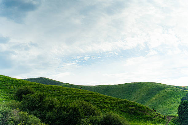This is a landscape painting of a grassland. In the picture, the vast green grassland spreads out like a green carpet, with distant mountains and bright green grass. Several trees are scattered here and there, adding a touch of natural charm. Above is an open sky, with bright colors. The overall atmosphere is fresh and natural, conveying a peaceful and distant rural atmosphere. It seems that one can smell the fragrance of the grass and feel the comfort of the gentle breeze. However, from the presentation of the picture, the characteristics of the grassland can be associated with its vastness and grandeur.