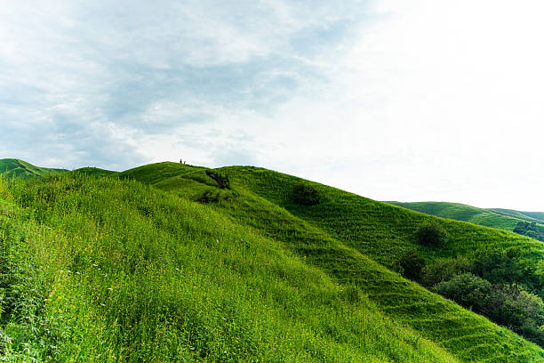This is a landscape painting of a grassland. In the picture, the vast green grassland spreads out like a green carpet, with distant mountains and bright green grass. Several trees are scattered here and there, adding a touch of natural charm. Above is an open sky, with bright colors. The overall atmosphere is fresh and natural, conveying a peaceful and distant rural atmosphere. It seems that one can smell the fragrance of the grass and feel the comfort of the gentle breeze. However, from the presentation of the picture, the characteristics of the grassland can be associated with its vastness and grandeur.