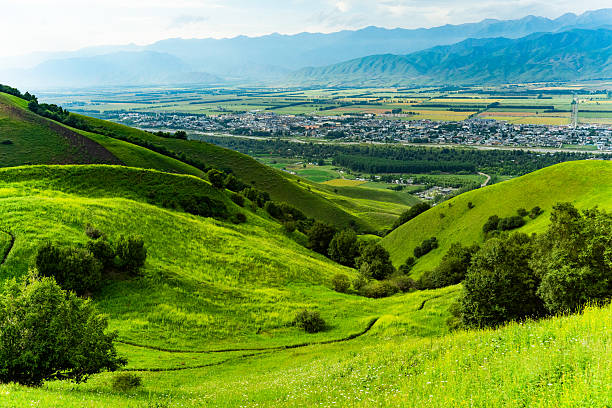 A mountain range with a tree stump in the foreground. The mountains are lush and green, and the sky is cloudy. Scene is peaceful and serene, with the tree stump adding a sense of solitude to the scene