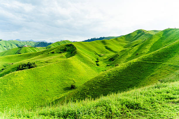 istock Scenery of grasslands and mountains 2230907621