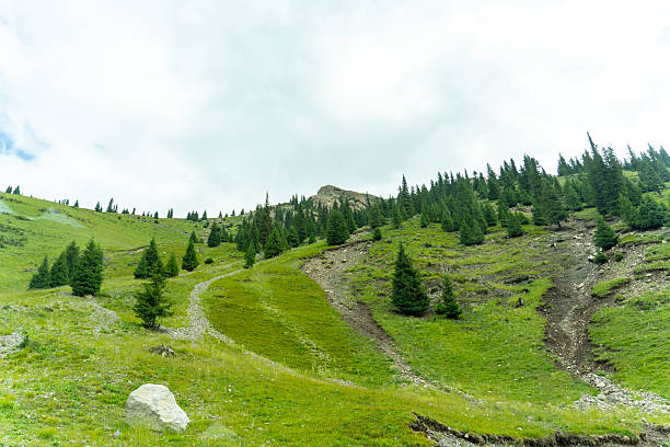 This is a landscape painting of a grassland. In the picture, the vast green grassland spreads out like a green carpet, with distant mountains and bright green grass. Several trees are scattered here and there, adding a touch of natural charm. Above is an open sky, with bright colors. The overall atmosphere is fresh and natural, conveying a peaceful and distant rural atmosphere. It seems that one can smell the fragrance of the grass and feel the comfort of the gentle breeze. However, from the presentation of the picture, the characteristics of the grassland can be associated with its vastness and grandeur.