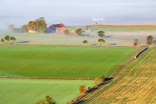 Wisconsin farm and corn field near Madison