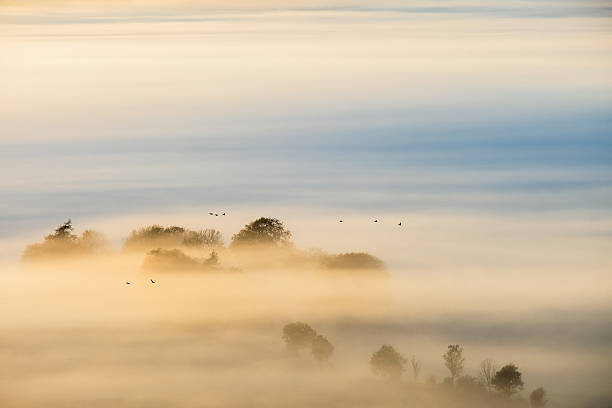 istock Misty sunrise with flock of birds 2230912799