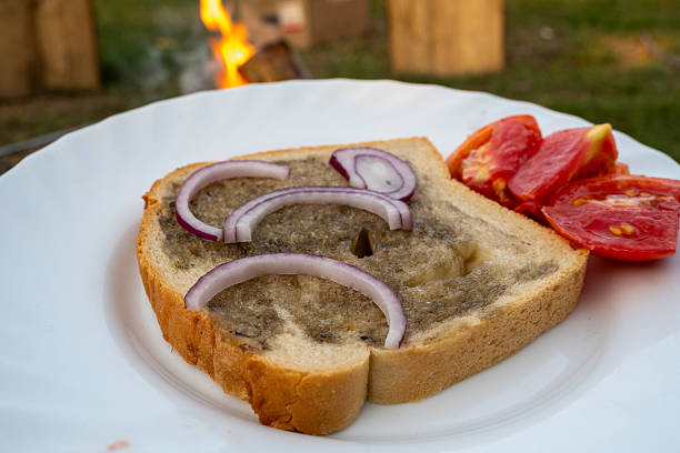 Hungarian traditional campfire food - bread with lard