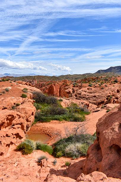 istock Desert Landscape in Valley of Fire 2230917807