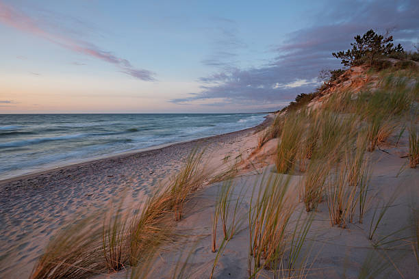 istock Coastal protected areagrass-covered sand dunes 2230920906