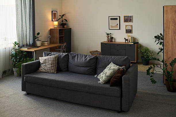istock Modern Living Room Interior Featuring Sofa and Houseplants in Daylight 2230921324
