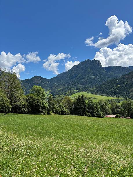 istock Sunny day in the mountains 2230921375
