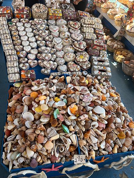 istock Seafood shells on local market stall 2230926354
