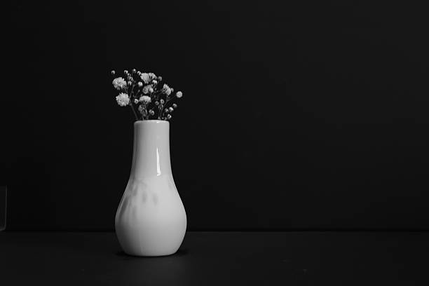 White vase with gypsophila on black background with copy space