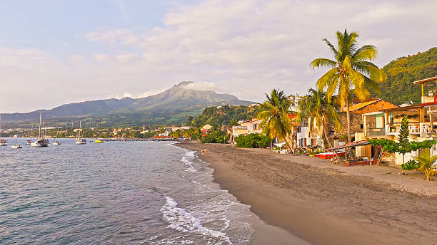A picturesque coastal town in Dominica is featuring a sandy beachfront with palm trees and quaint buildings. Sailboats are anchored offshore, and a mountain is rising majestically in the background under a partly cloudy sky.