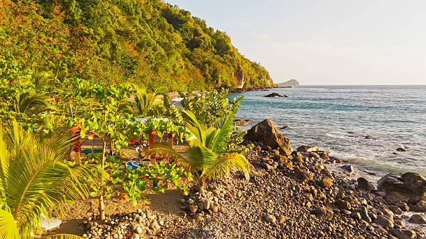 Adelphi, Charlotte Parish, St Vincent, Saint Vincent and the Grenadines: the Atlantic coast of St. Vincent Island is characterized by rugged cliffs, rocky shores, and occasional black sand beaches, shaped by the island's volcanic geology. This coastline faces the open ocean, making its waters generally rougher and less suitable for swimming compared to the calmer Caribbean coast. Sparse settlements are found along this coast, with fishing and small-scale agriculture forming the primary economic activities in these areas. Vegetation along the coast ranges from coastal scrub to patches of rainforest, depending on the elevation and exposure to wind and salt spray. The Atlantic coast is less developed for tourism, offering a more secluded and natural environment compared to the western side of the island. Windward coast.