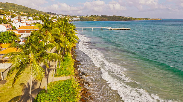 istock Coastal Scenery With Palm Trees at Majestic Beach, Martinique 2230934883