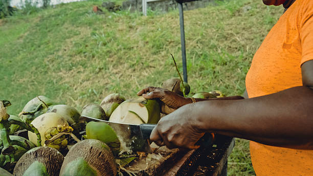 istock Vendor Preparing Coconuts at Fresh Fruit Market in Martinique 2230934892